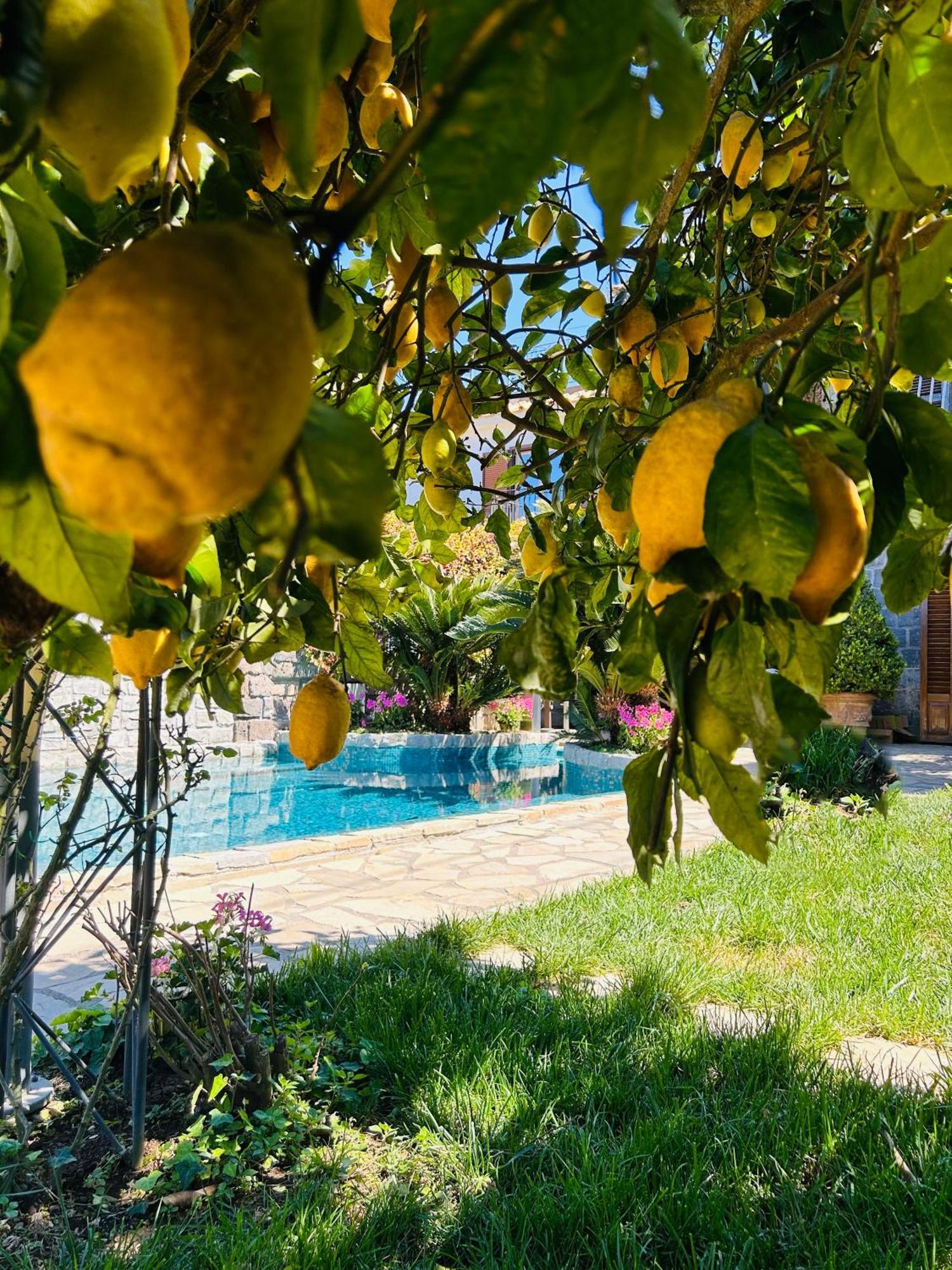 Maison Villa Angela SantʼAgata sui Due Golfi Buitenkant foto